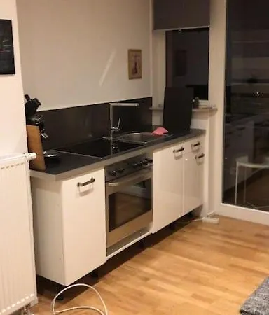 Apartment Stadtmitte Wuerzburg, Kueche, Balkon. *
