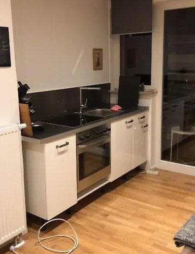 Apartment Stadtmitte Wuerzburg, Kueche, Balkon. *
