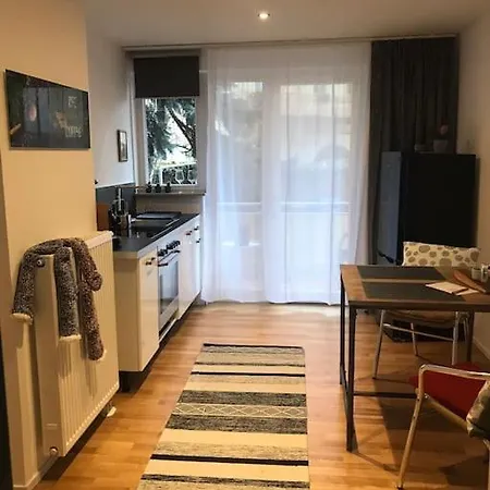 Stadtmitte Wuerzburg, Kueche, Balkon.